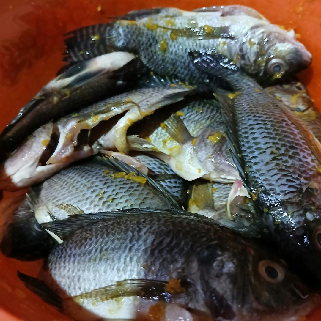 Gambar 3 Langkah 2 Resep Ikan Mujair Goreng