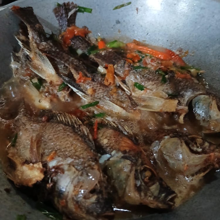 Langkah 4 Resep Ikan Mujair Kuah Santan