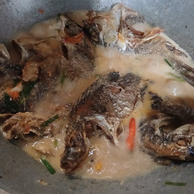 Langkah 5 Resep Ikan Mujair Kuah Santan