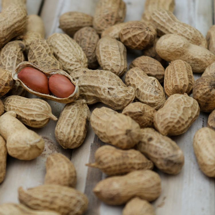 Cara Mengolah Kacang Tanah