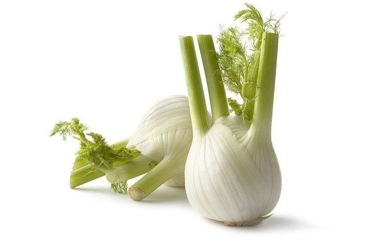 Fennel