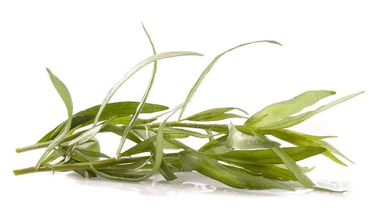 Tarragon